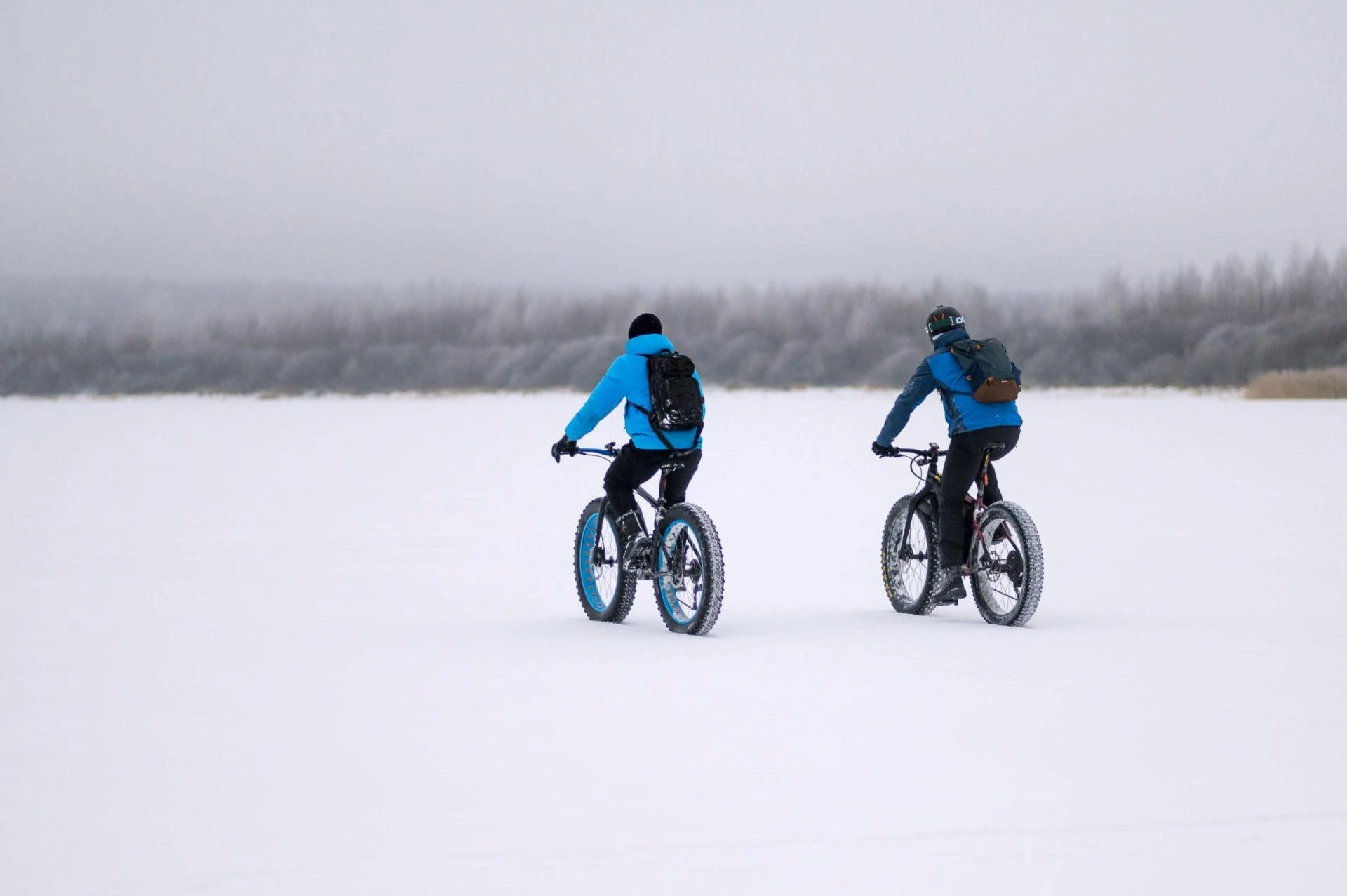 Winter Biking: Your Guide to the Best Bikes for Frosty Adventures