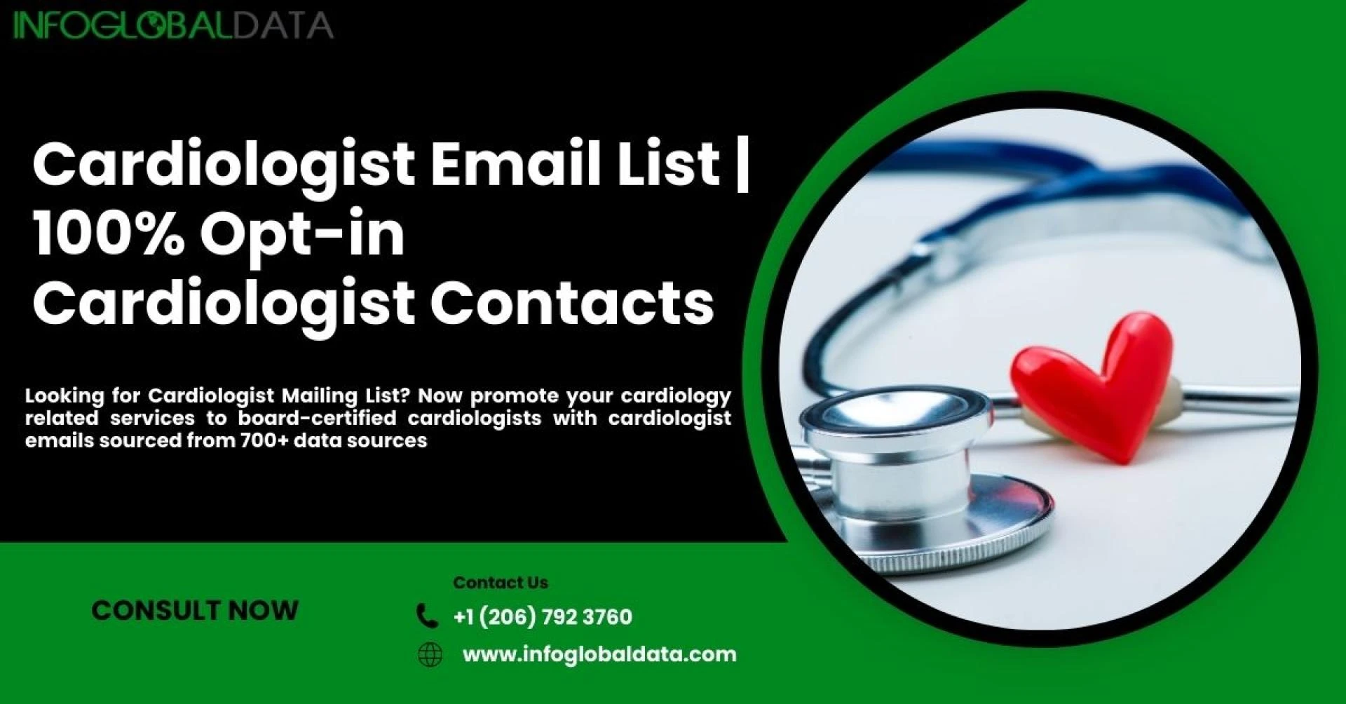 Unlocking Success: Strategies for Building and Using a Cardiologist Email List