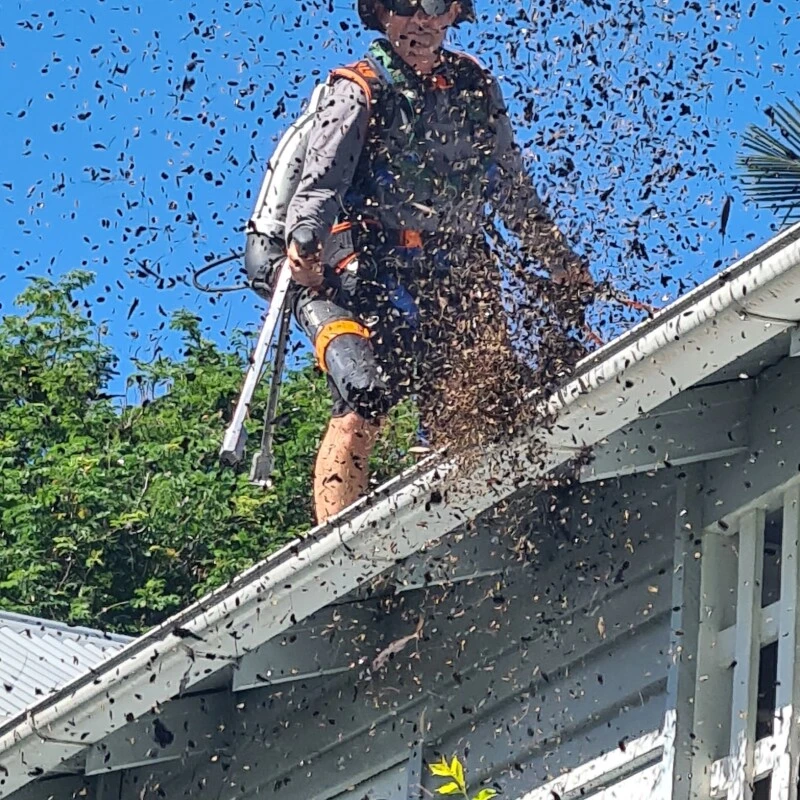 Are Your Gutters Dirty? Learn The Reasons Why Cleaning Them Matters!