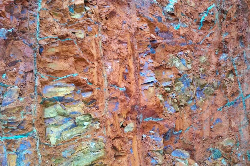 Your Trusted Partner for Premium Reed Mats in Pakistan and Beyond