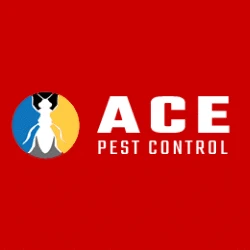 Pest Control Adelaide