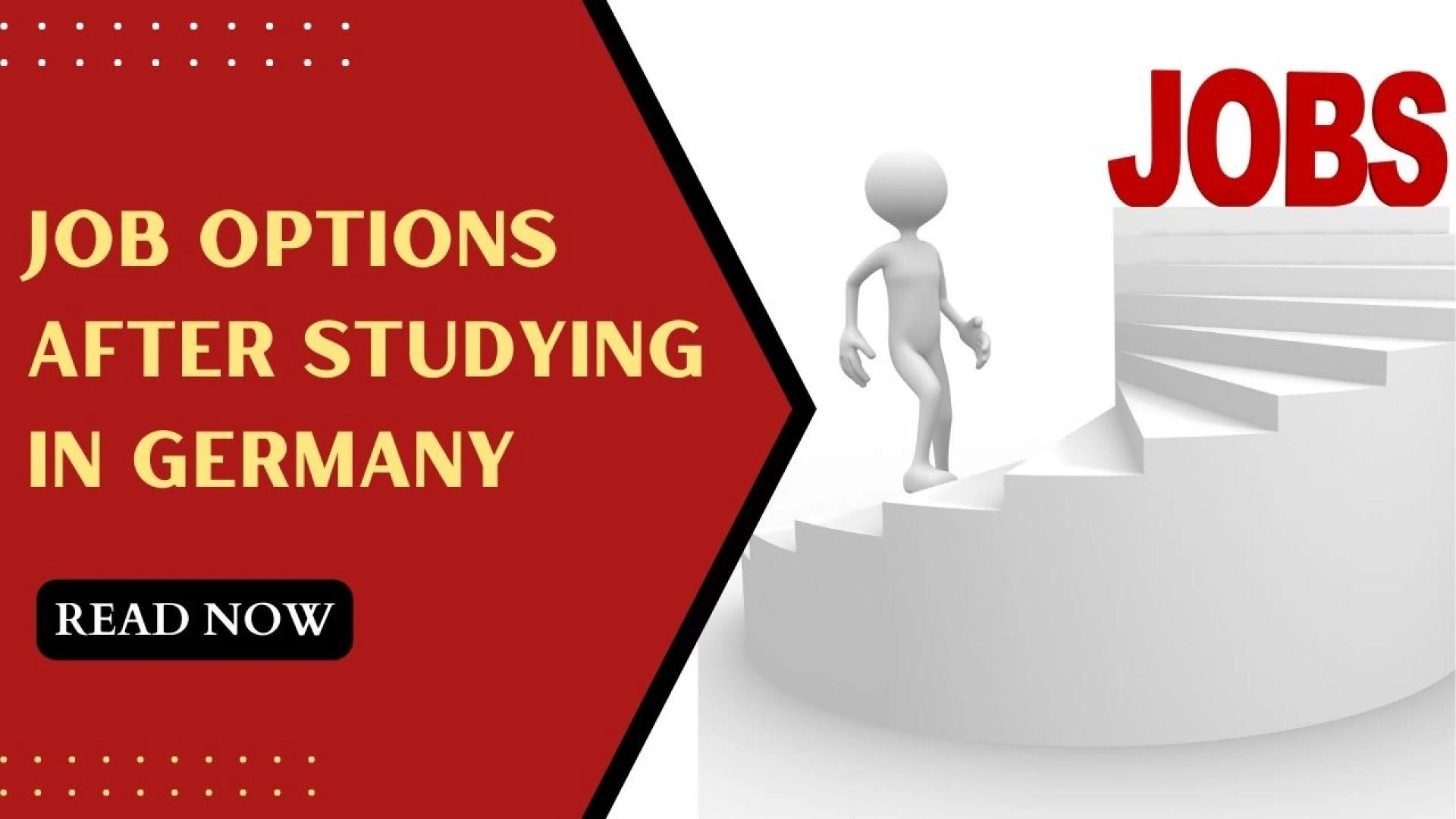 Job Options After Studying in Germany