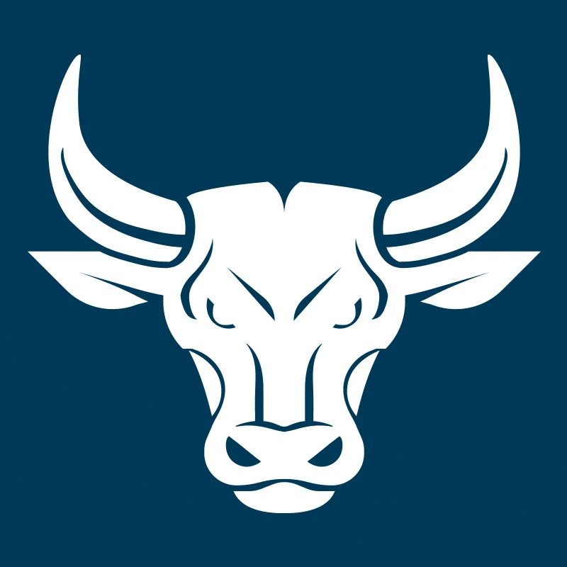 Custom ecommerce website design &amp; Development Services company