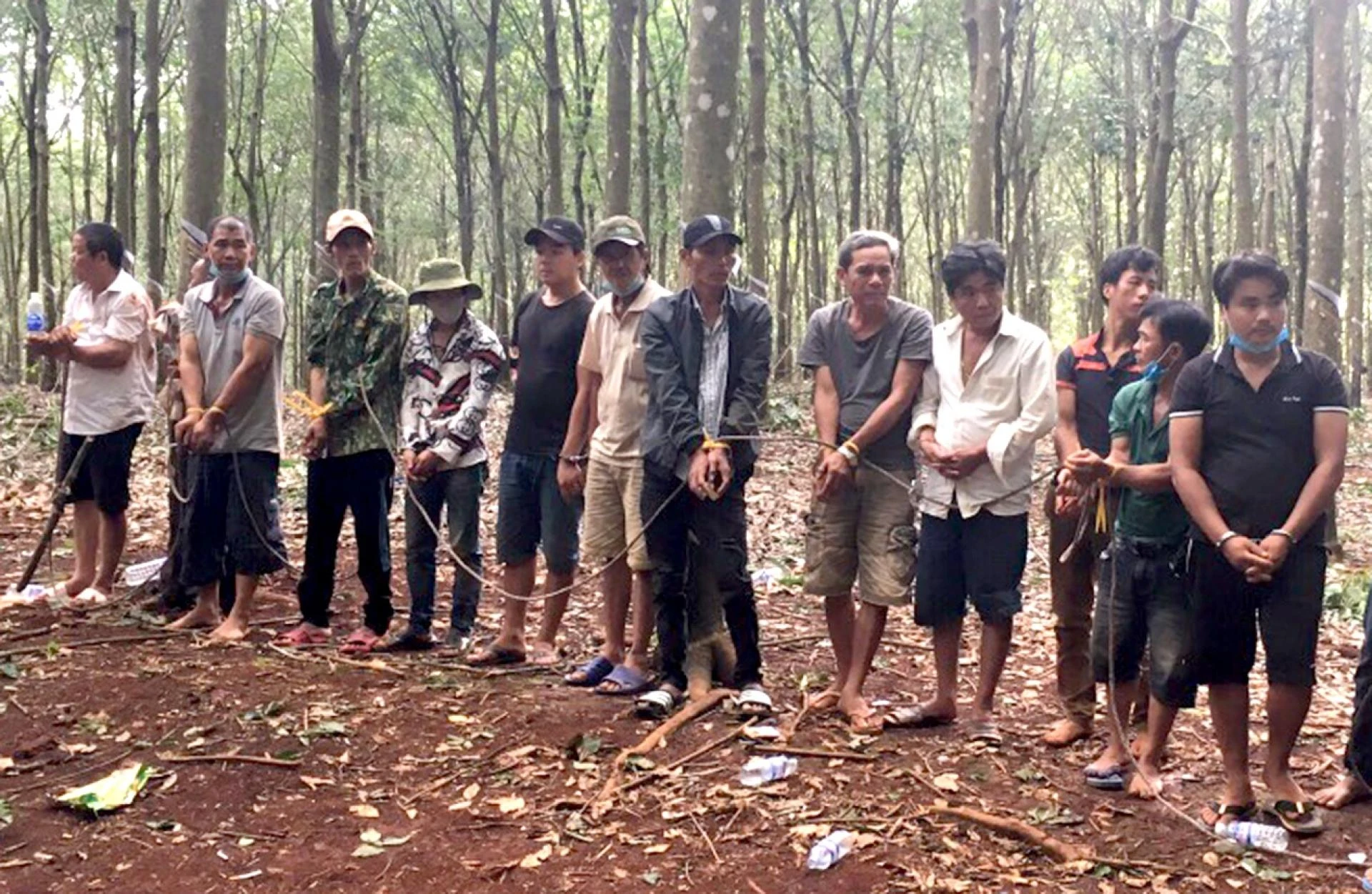 Bình Phước: Triệt phá sới đá gà ăn tiền trong lô cao su, bắt 20 nghi phạm