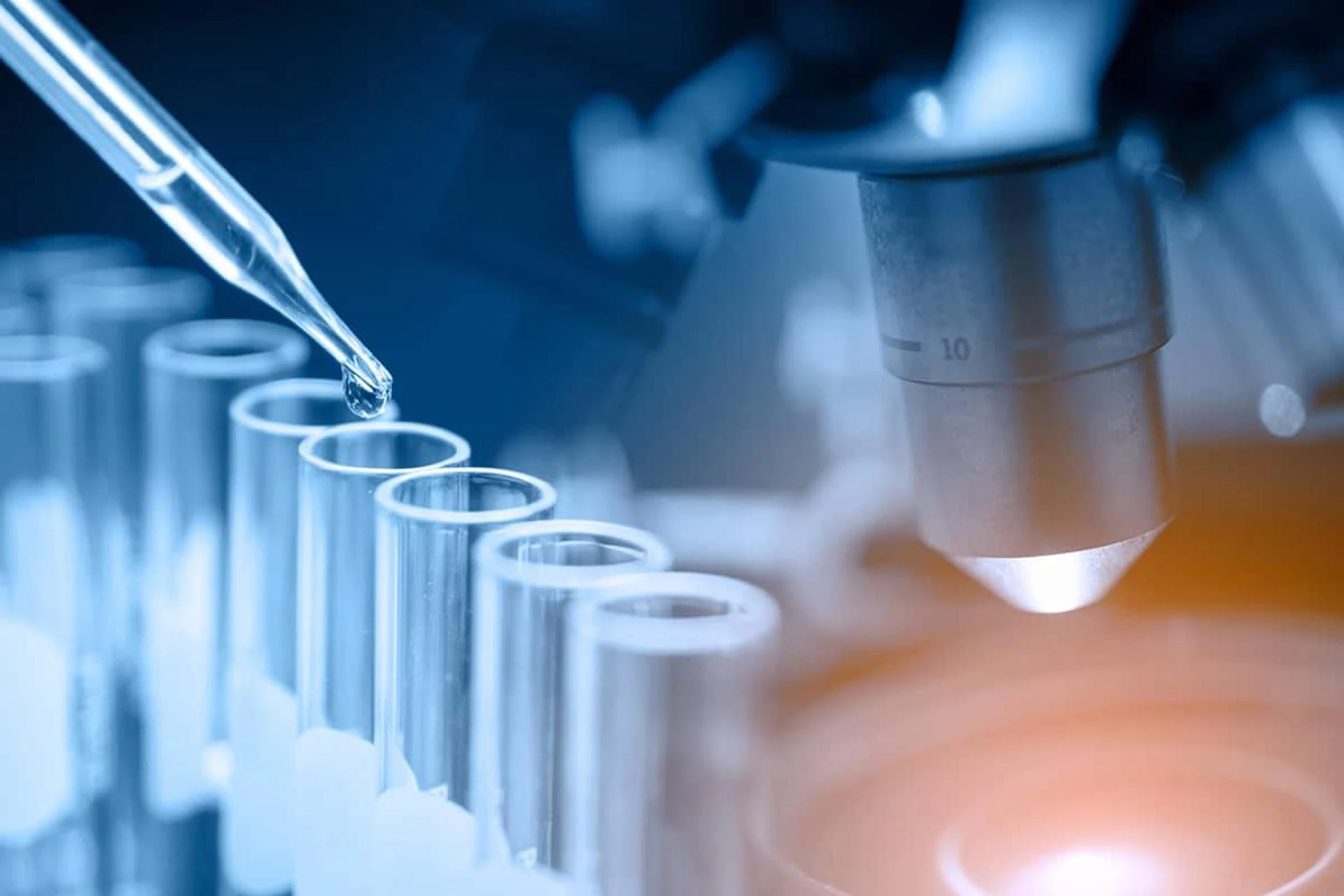 The Clinical Laboratory Services Market is Estimated To Witness High Growth Owing To Increasing Demand for Accurate Diagnosis