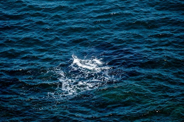 Surface Analysis Global Market 2024 - By Size, Share, Demand, Forecast, Trends To 2033