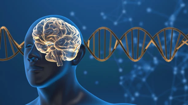 Biosensors Global Market 2024 - By Size, Share, Demand, Forecast, Trends To 2033