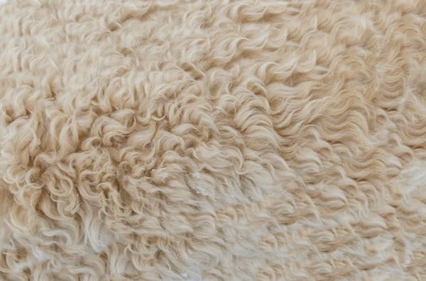 Wool Global Market 2024 - By Trends, Demand, Share, Growth, Forecast To 2033