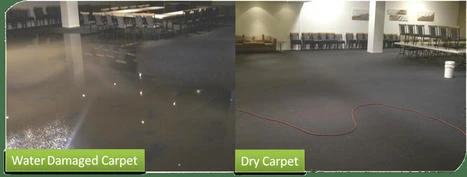 Ultimate Emergency Carpet Drying Processes