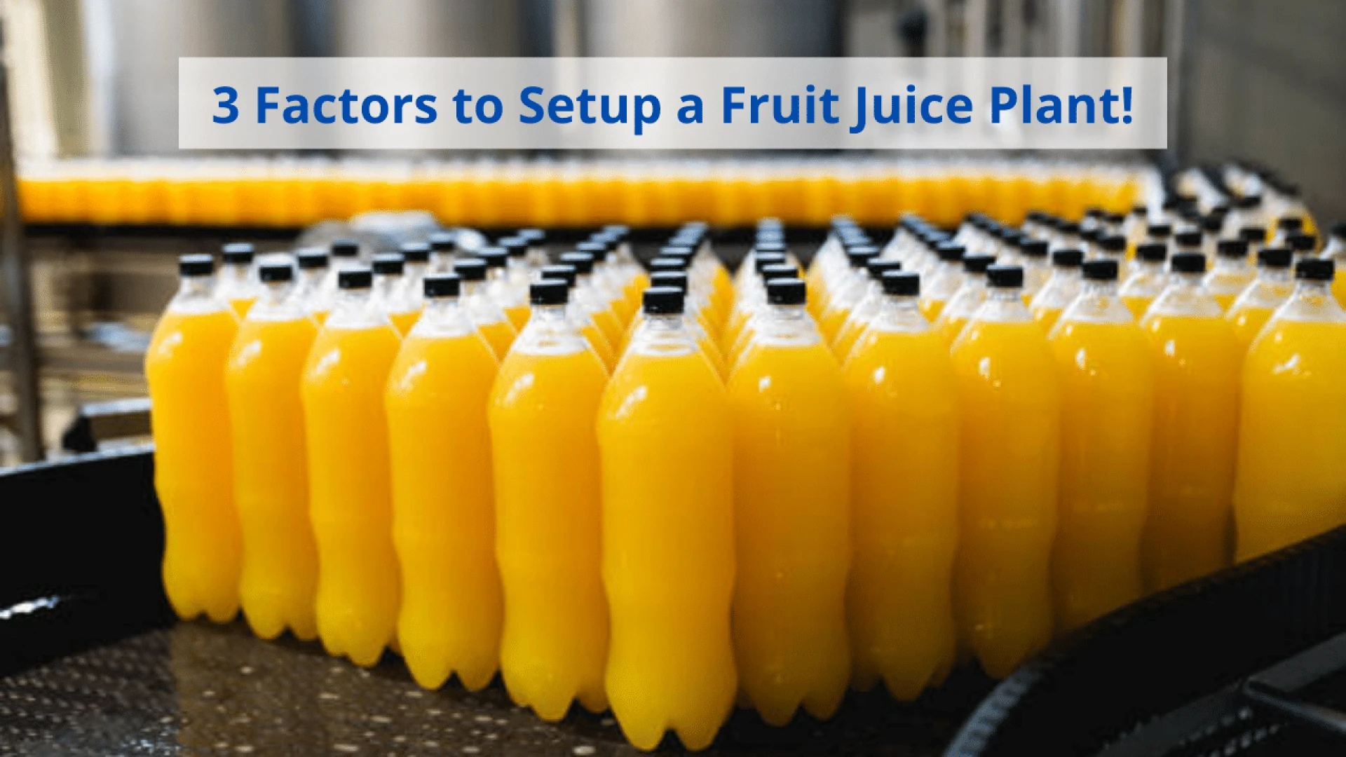 3 Factors To Setup a Fruit Juice Plant!
