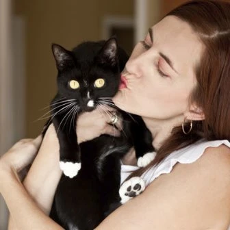 Cats And Pregnancy: Precautions Against Toxoplasmosis