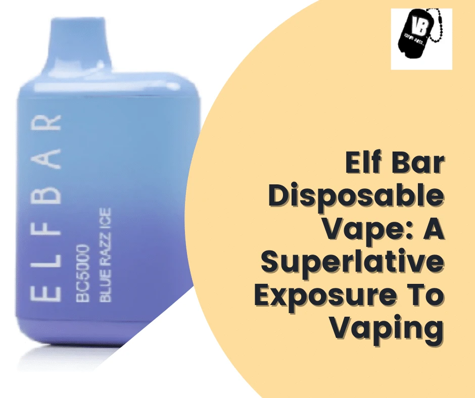Elf Bar Disposable Vape: A Superlative Exposure To Vaping