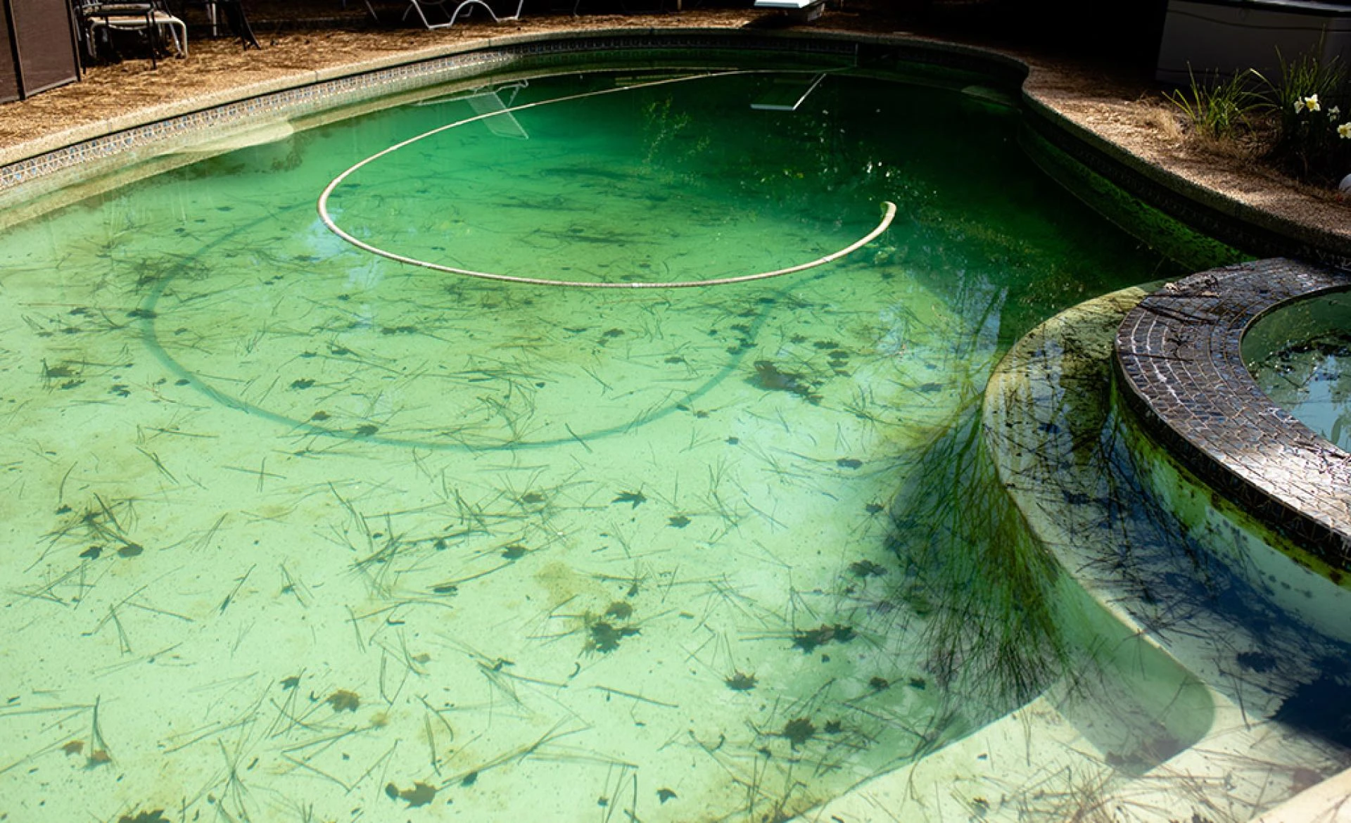 Can algae stain concrete pool?