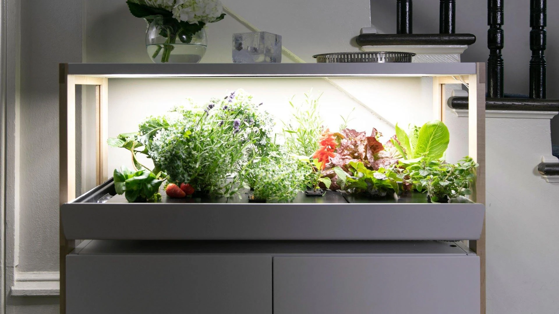 The Challenges Of Running An Indoor Garden