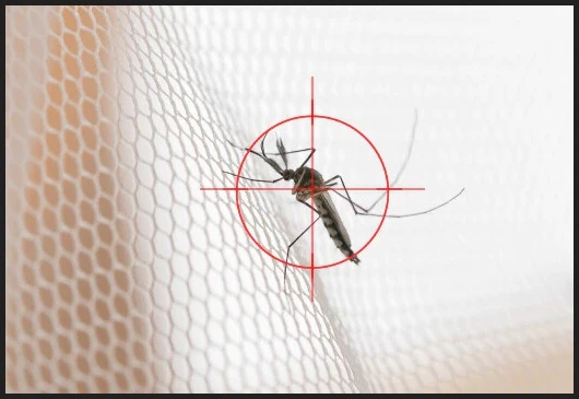 All You Need to Know About an Excellent Natural Mosquito Repellent Agarbatti