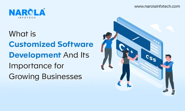 What is Custom software development and its important?