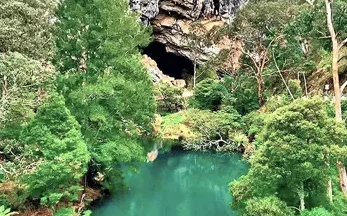 Wild escape And Day Adventures