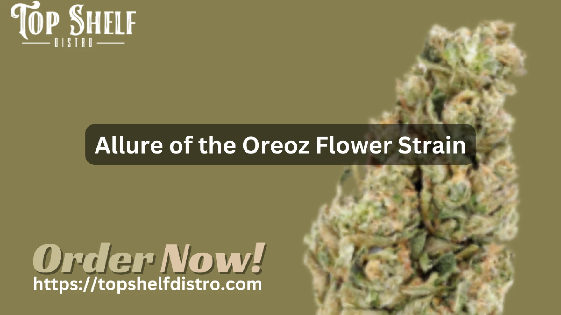 Unraveling the Mysteries of Oreoz Flower Strain