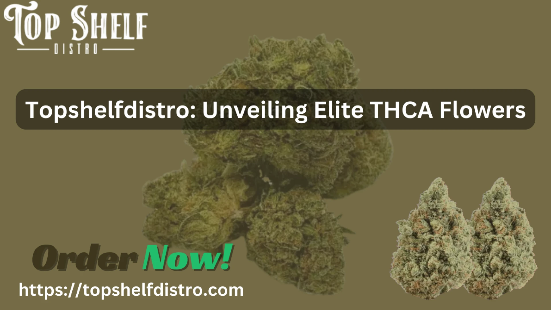 Where to Buy THCA Flower: Exploring Top-Shelf Options for Top-Quality THCA Buds