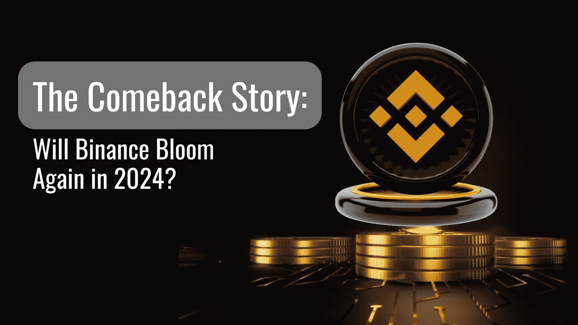 The Comeback Story: Will Binance Bloom Again in 2024?