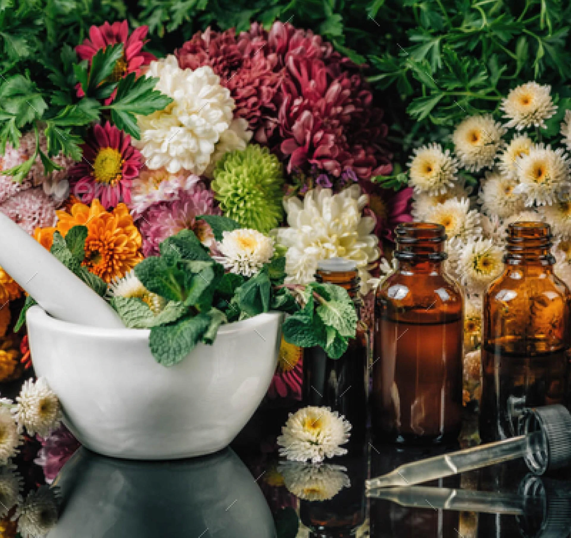 Bach Flower Remedies Courses in Chennai