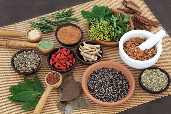 Ayurvedic Treatment For Backpain In Chennai