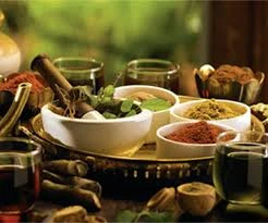 How does Ayurveda offer kidney treatment in Chennai, and what distinguishes it as a holistic approach to kidney health?