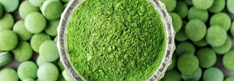 How To Choose the Best Barley Grass Powder?