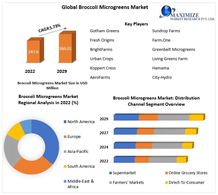 Micro but Mighty: Broccoli Microgreens in Modern Cuisine
