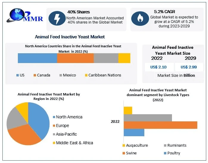 Gut Health Matters: Inactive Yeast and Digestive Wellness in Livestock