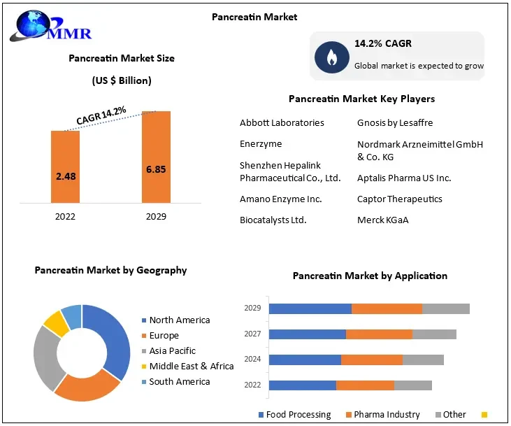 From Challenges to Opportunities: The Balancing Act in the Pancreatin Industry