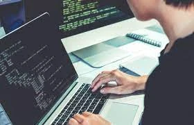 How To Become A Web Developer In 3 Simple Steps | Sunflowee biztech