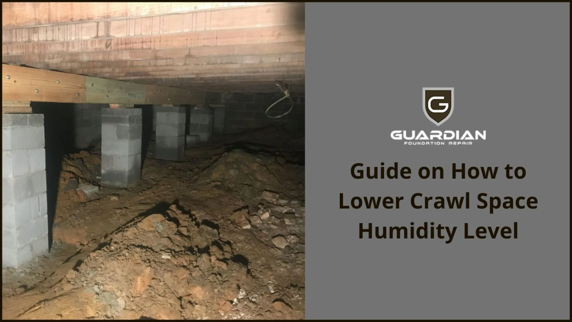 Guide on How to Lower Crawl Space Humidity Level