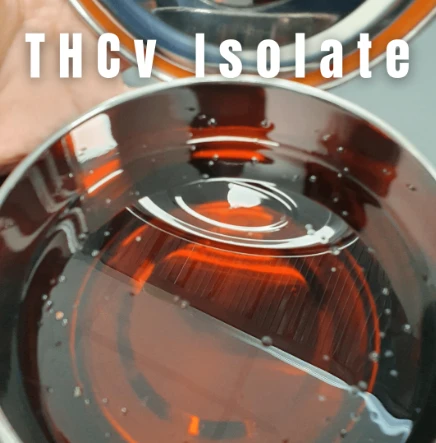 Review of THCV Isolate Tincture (Hemp-Derived)