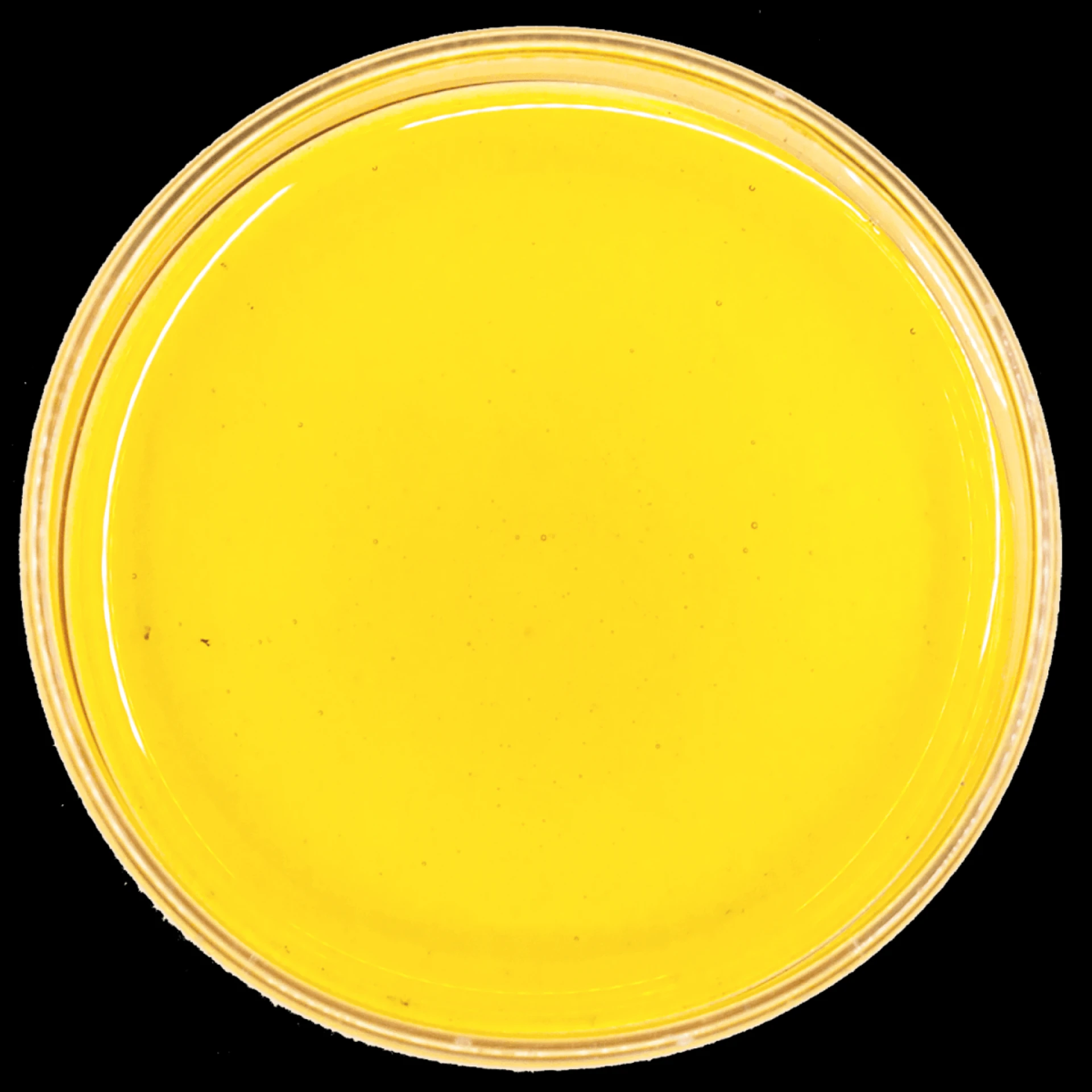 Should CBC Oil Be Used To Treat Foot Pain? Let us Investigate!