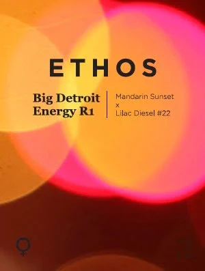 Selecting The Best Site To Buy Ethos genetics Seeds