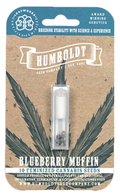 Southern Humboldt Seed Collective: Explore The Best Storage Methods