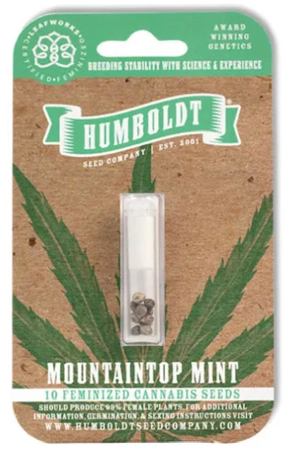 How to select the best merchant for cannabis seeds for sale