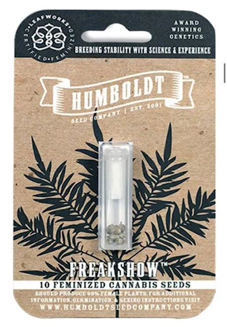 Top 7 best cannabis seeds to buy online