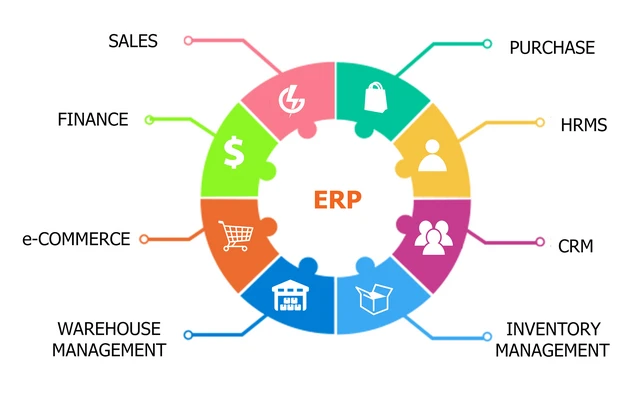 What is the difference between ERP Software and a Single Business Application?