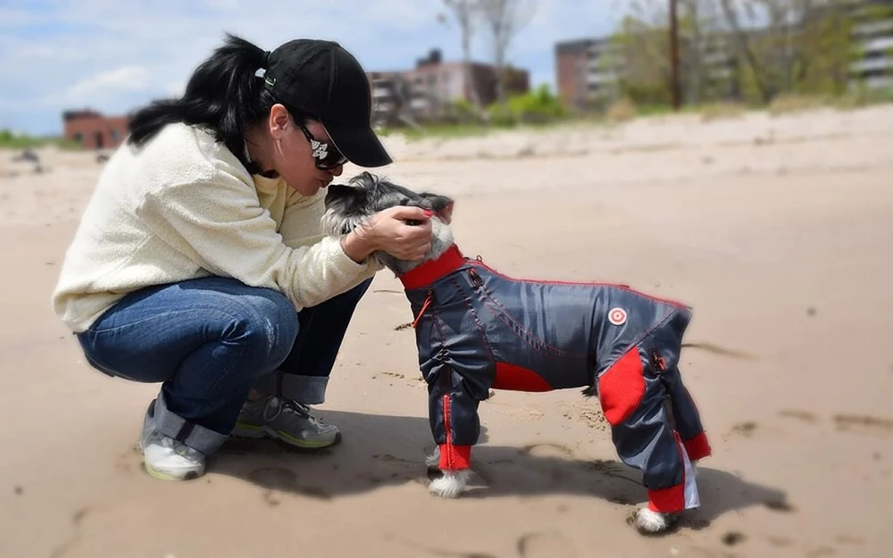Furry Fashionistas: How Luxury Dog Clothes Are Surging Into The Pet World?