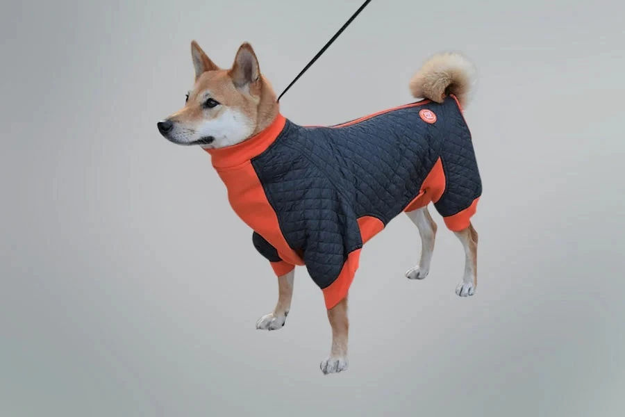 Tips on How to Choose The Best Waterproof Full Body Winter Dog Coat