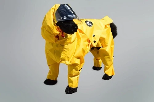 Dog Raincoat with Hood Will Make the Rainy Walk Outdoors More Easy