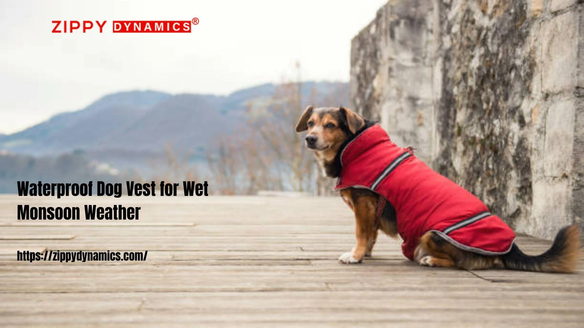 Waterproof Dog Vest for Wet Monsoon Weather