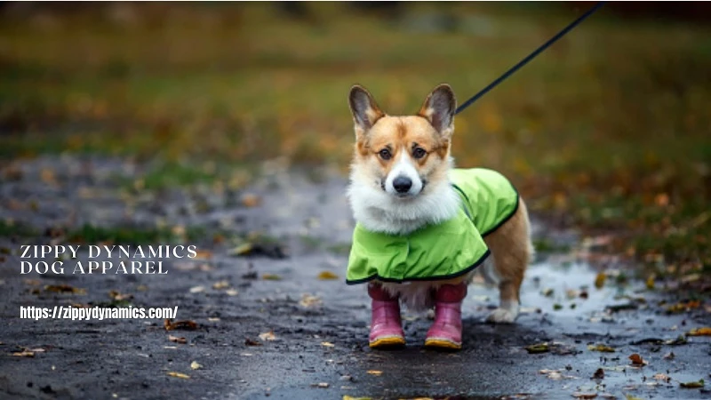 Style up Your Canine Buddy in the Best Dog Clothes and Accessories