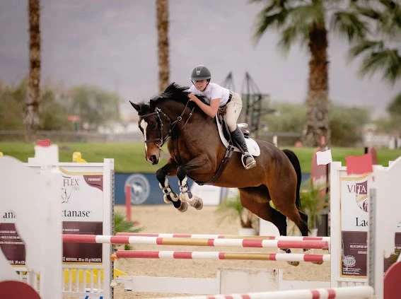 Improve Your Horse Riding Experience With The Right Breeches