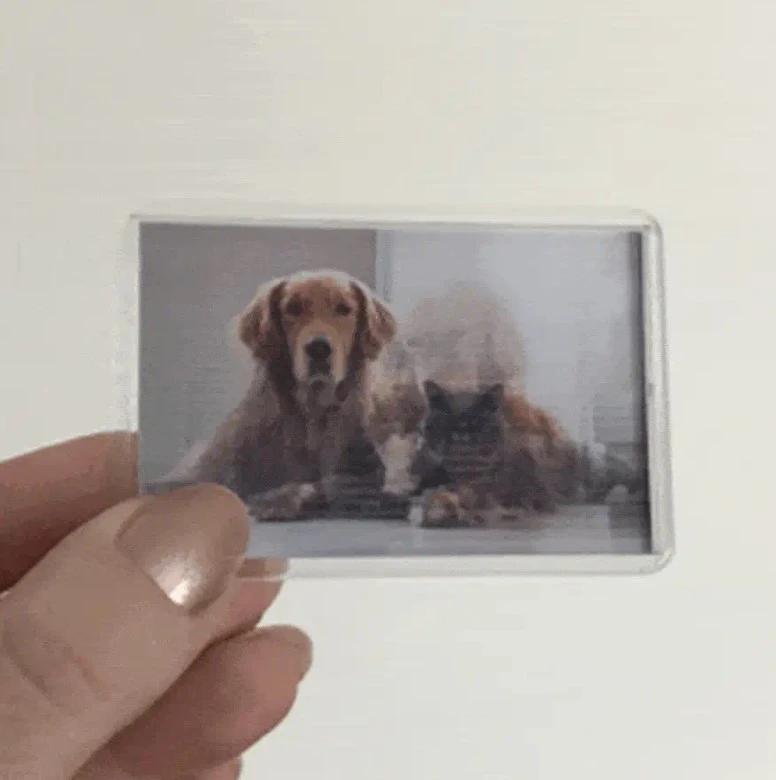 Elevate Your Brand with Personalized Custom Fridge Magnets, Business Card Printing, and More in the UK