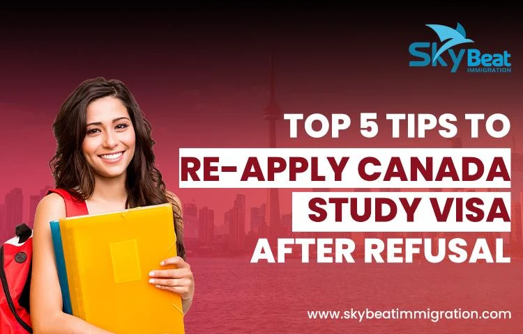 Top 5 Tips To Reapply Canada Study Visa After Refusal