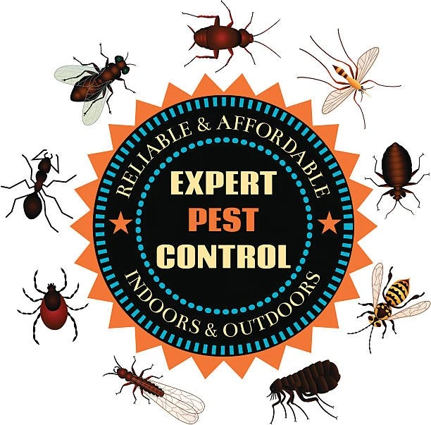 Pest Control – The Best Service – Local Pest Control Services