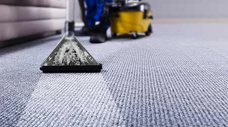 The Ultimate Guide to Carpet Shampoo Cleaners: How to Choose the Right One for Your Needs